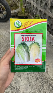 BENIH Sawi Putih Hibrida F1 Siola 10gr
