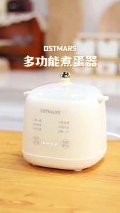 Egg Boiler Hot Spring Egg Maker Breakfast Cooker Machine Telur Masak 煮蛋器 蒸蛋器 早餐机