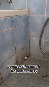 2SEVEN KONG POWER CLEANZ Cleaning Spray