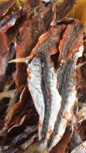 KHÔ CÁ THU RÚT XƯƠNG SIÊU THỊT VỊ VỪA ĂN - VỰA KHÔ HÀ VY