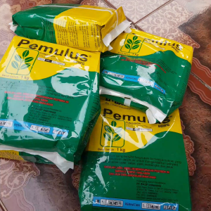 Fungisda Pemulus 80wg 1kg