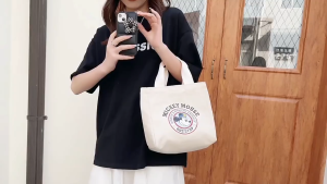 Mickey  Canvas Female Bag Student Portable Working Small Hand-Carrying Lunch Bag