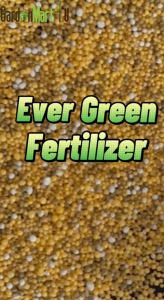 G4U - 1KG EverGreen Flower Slow Release Fertilizer OEM Baja Perlepasan Perlahan 控释肥