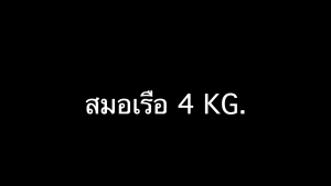 สมอเรือ Hot dip Danforth Boat Anchor 4 kg.