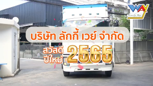 DODOLOVEแผ่นรองกันเปื้อน แผ่นรองเปลี่ยนผ้าอ้อม - 45x33 ซม.