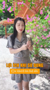 Que khuếch tán tinh dầu giúp tỏa hương làm thơm phòng thay thế máy xông- sunstore17