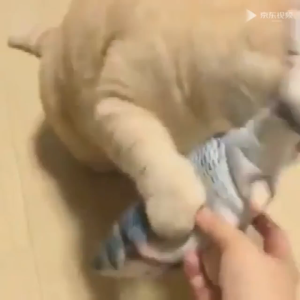 USBของเล่นแมว ตุ๊กตาปลา เล่นกับแมว 28 cm ปลาของเล่นฝ้าย ของเล่นแมว ตุ๊กตาปลาดุ๊กดิ๊ก ของเล่นชิ้นโปรดของแมว ดิ้น เต้นได้ ปลาแมวฟิน