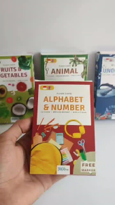 Flash Card - ANIMAL - Kartu Belajar Edukasi Anak -Wipe & Clean- Free Ring & Kartu Ide Bermain
