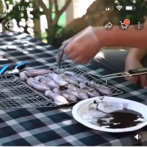 Stainless Steel Folding Grill Net: A Versatile Cooking Tool