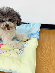 Pet Cool Mat Alas Pendingin Hewan Alas Matras Pendingin Hewan Anjing Kucing