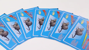 【Free Shipping 】20Pcs Large Mouse rat Sticky Mice Rodent Glue Board Bait Trap Set of 10 Mouse Glue Traps Rat Super Strong Adhesion 19X25cm