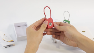 SG100 Rechargeable Cute Kids Graphic Smart Fingerprint Travel Accessories Luggage Cupboard Lock