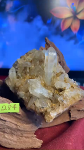 bụi thạch anh vàng Citrine tự nhiên năng lượng Vũ Trụ