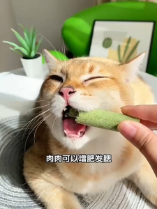 Cat Grass Snack Kucing Catnip Kucing Campuran Catnip Ayam Minyak Ikan Vitamin Untuk Menjaga Kesehatan Pencernaan