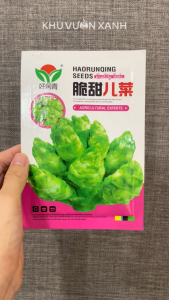 Hạt giống Rau cải Mầm đá gói 2gr khoảng 1000 hạt hàng Trung