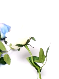 Bình Xịt Màu Hoa Chuẩn Màu Hãng Mới Giá Rẻ