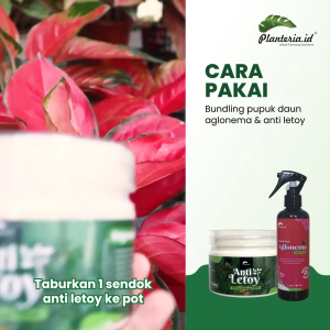 Bundling Hemat Pupuk Daun Aglonema 500ml+Anti Letoy 500gram