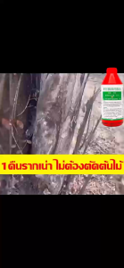 💥1หยดก็เพียงพอแล้ว💥 ยาฆ่าไม้ไผ่ ยาฆ่าต้นไม้ใหญ เข้มข้นสุด 1000ml 1ขวดเท่ากับ20ขวด สารกำจัดกอไผ่ ยาฆ่าตอต้นไม้ ตรงไปที่ราก รากเน่ารากตาย ยาฆ่าตอไม้ใหญ่ ยาฆ่าไผ่ บอกลาการตัดต้นไม้ด้วยตนเอง ไม่เป็นอันตรายต่อดิน ยากำจัดต้นไม้ใหญ่ สารกำจัดต้นไม้