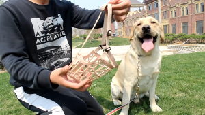 Aksesoris Pet Dog Anti Bite Anjing/Muzzle Penutup Mulut/Brongsong/Brangus