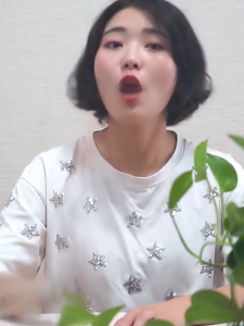 Joyoung D-10Z1 Electric Stew Pot Ceramic Mini Electric Stew Cup Birds Nest and Congee Cooking Genius Pot Soup Cooking Pot Electric Stew Pot