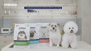 Indigo Bionutrition Weight Control & Gut Health อาหารสุนัข ออร์แกนิค สูตรควบคุมน้ำหนักและลำไส้ 6 กก.เกาหลี