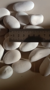 Batu putih kupang 1 karung full berat 10kg