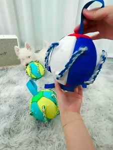 Đồ chơi cho Chó quả bóng đĩa bay kèm dây thừng gặm sạch răng (mẫu mới) - LOVE PETS SHOP