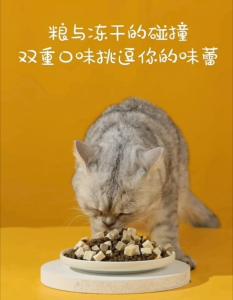 Freeze Dried Chicken Cube 100g /300g/500g/900g / BIG Vale Package Chicken Breast Cat Snack Cat Food Dog Food Makanan Kucing 宠物冻干零食-鸡胸肉