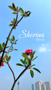 Sherina Dress by Ninos Design