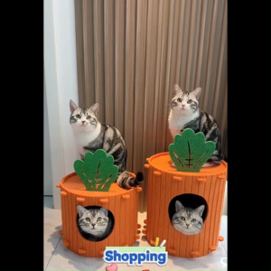 P&P รูปร่างหัวไชเท้า  ที่นอนแมว โครงปีนแมว เหมาะสำหรับแมวน้ำหนัก 1-10กก.