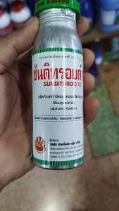 ซันดิทรอยด์ โมลิดอล 100มิลลิลิตร กำจัดแมลงคลานและแมลงบิน แมลงสาบ มด แมลงวันและยุง