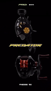 Reel BC BaitCasting Daido New PREDATOR FINESSE 150 SW (2 Spool) 7.2:1 SaltWater Murah - Toms Fishing