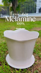 จัดโปรพิเศษ!!!!!กระถางต้นไม้จากเมลามีน มีน้ำหนักเบา แข็งแรงทนทาน ผิวสัมผัสเรียบเนียน