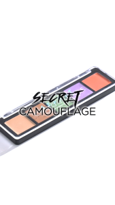 Rivera Secret Camouflage - Color Corrector palette