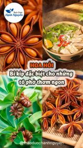 Hoa hồi khô 1kg đại hồi nguyên cánh nấu phở làm sốt vang thơm ngon chuẩn vị - Thảo dược Hạnh Nguyên