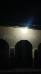 Racun Cicak Raca Herbal Cream Oles Anti Cicak Pengusir Cicak Dijamin Ampuh