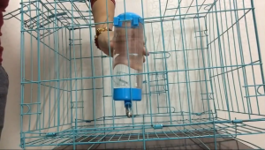 Bình đựng nước gắn chuồng cho Chó Mèo Thỏ và chuột Hamster (mẫu mới) - Love Pets Shop