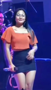 Flashdisk Musik-Mp4 Dangdut Koplo Ade Astrid Adella Palapa Free Kupluk Bayi FULL ALBUM