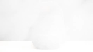 EVERNEXT - TAS RANSEL LAPTOP PRIA BACKPACK CHOOPER TAS SEKOLAH KULIAH PRIA TAS PUNGGUNG PRIA