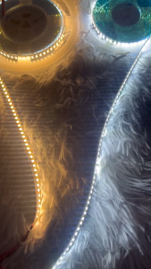 Led cuộn dây dán COB 12V 5m chống lộ mắt siêu sáng