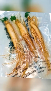 โสมจีน โสมสด โสมภูเขา โสมสดดอง โสมจากภูเขาฉางไป่ สำหรับดองน้ำผึ้ง ดองเสือ 11 ตัว ทำอาหาร ใส่ในซุป ชงชา บดผสมแป้ง กินสด โสมบำรุงร่างกาย บำรุงสุขภาพ