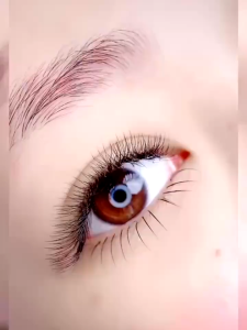 Ekstensi Bulu Mata Volume 5D YELIX & Pre-Shaped Auto Fan Eyelash
