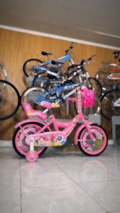 Kids Bike with Basket: A Fashionable Ride for Children 12 to 16 Inches