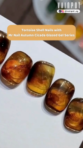 [Vainpot-SG] MR NAIL Autumn Cicada Glazed Series UV Gel Polish - Translucent Jelly Polish - 5ml