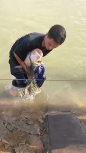 Fishing net   Pembuat jaringan nelayan secara langsung menyediakan benang nylon berdiri alat nelayan buang tangan lama