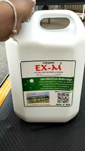 EM อีเอ็ม 5 ลิตร หัวเชื้อจุลินทรีย์ ชีวภาพ ของแท้ อเนกประสงค์ เกษตร สวน ส้วมตัน ดับกลิ่น ฉี่ คอก ปรับสภาพน้ำ ตู้ปลา อาบน้ำหมา ถูพื้น ดิน