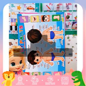 Paket 20 Poster Lengkap Belajar Huruf Angka Buah Sayur Binatang Transportasi dll