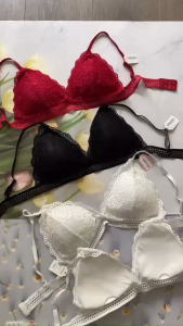 Áo bra ren cài sau cài 2 mút mỏng tháo rời được BRA625