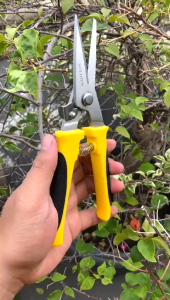 SOLIGEN Gunting Holo Gunting Korea Gunting Dahan Ranting Gunting Seng