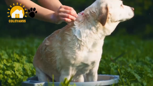 500ml 2-in-1 pet dog shampoo cat shower to relieve itching gel deodorizes and leaves fragrance